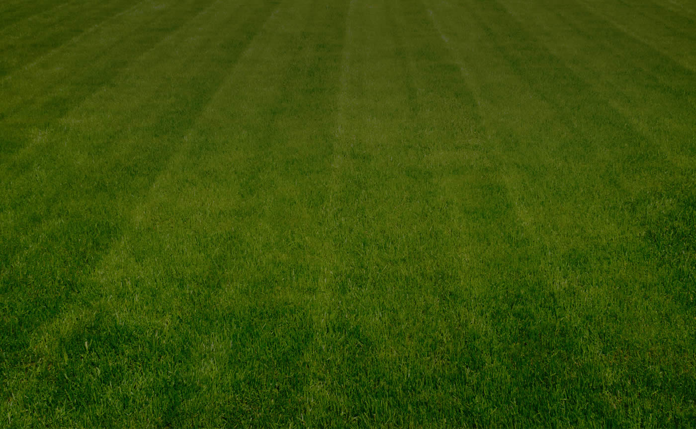 calgary-commercial-landscapers - Landscapers By Nature